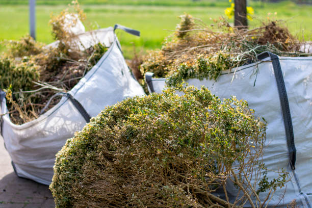 Best Furniture Removal Near Me  in Pawcatuck, CT